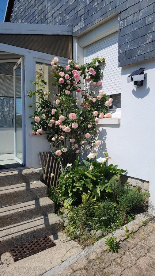 Maison 2 Chambres Spa Centre Ville Spa 캥페르 외부 사진